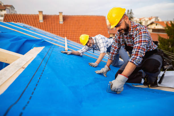 Best Storm Damage Roof Repair  in Glen Ellyn, IL